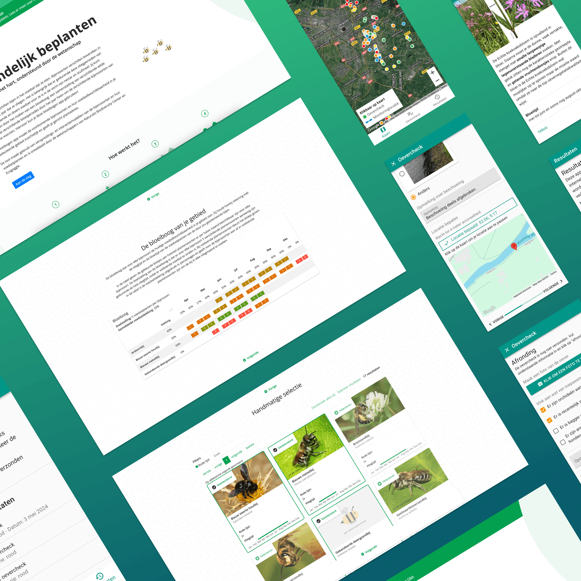 SGNdigital's projecten